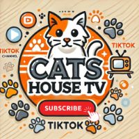 cats_house_tv