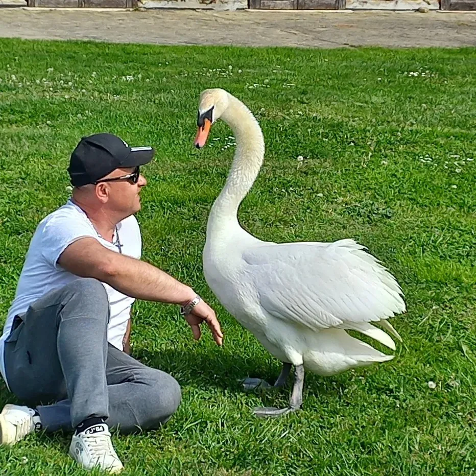 Toto & Gabor toto.gabor