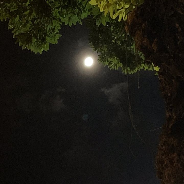 เสียงต้นฉบับ - ☁️