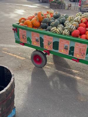 What Halloween themed items do you have in the farm shop?? 🎃🎃 Glad you asked! Tour round the shop with Rees this morning as he shows what special seasonal treats we have.
